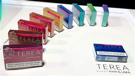 iqos terea cena